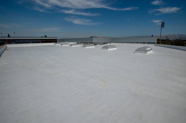 Best Roof Moss and Algae Removal  in Breckenridge, MI