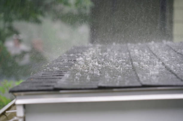 Best Roof Coating and Sealing  in Breckenridge, MI